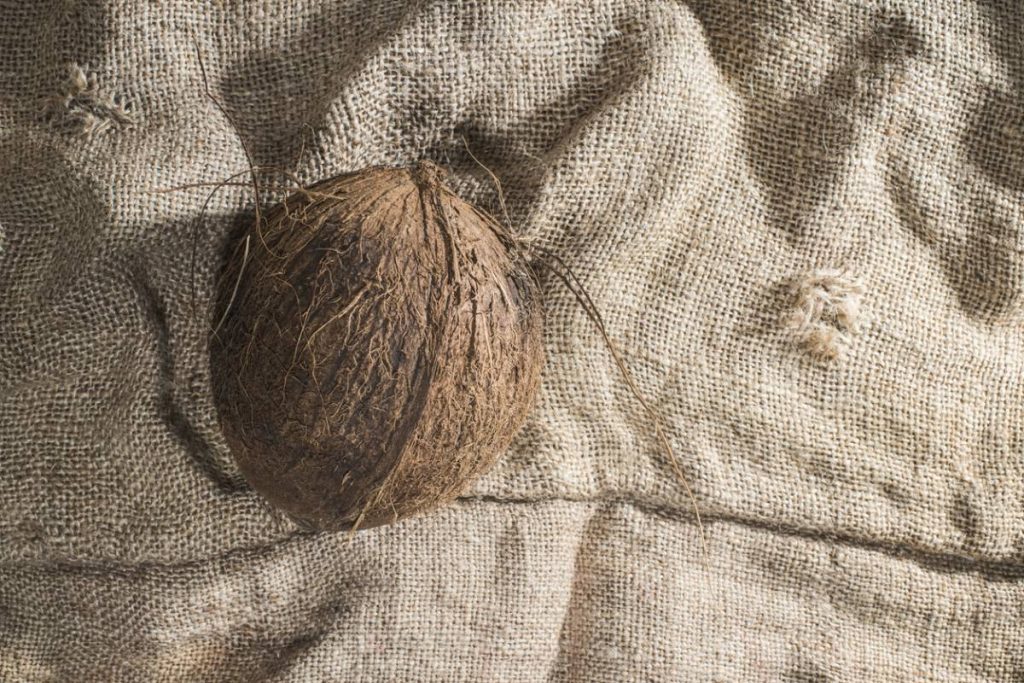 toile de coco pour créer des ombrage de qualité
